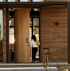 Flat Pivot Door
